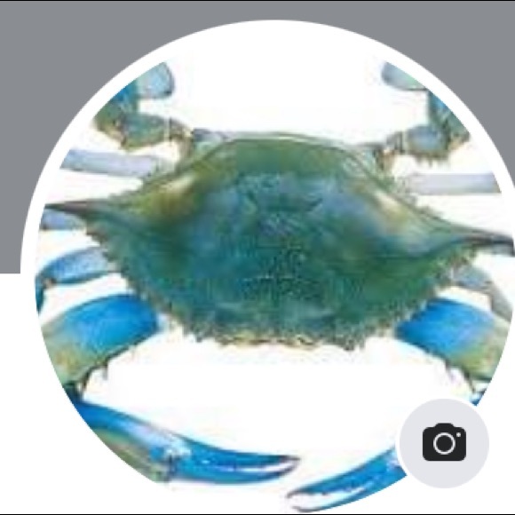 Meet your Posher, Donna - Picture 1 of 1